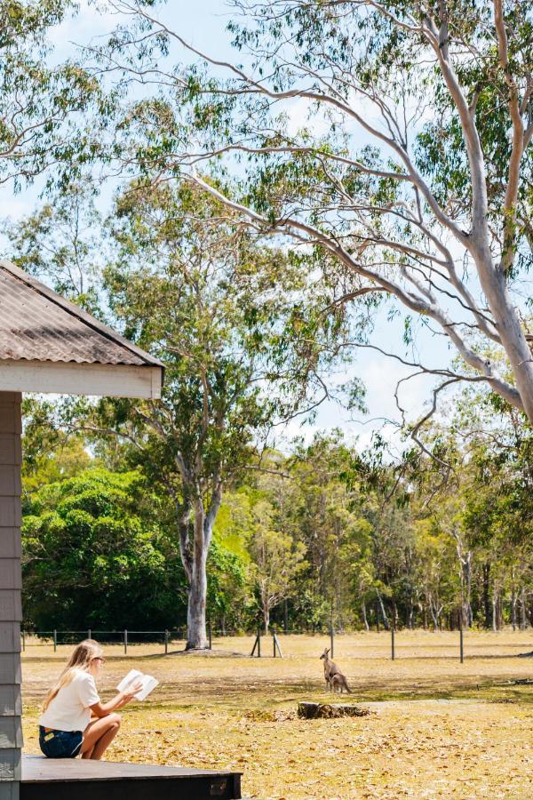 Kangarooms Noosa Everglades Cootharaba Экстерьер фото